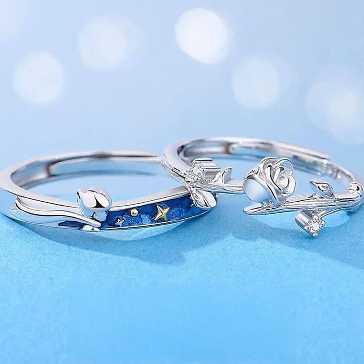 Un amor tan puro como en El Principito 💫💍 Anillos de pareja en plata 925 con un significado especial